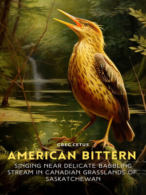 cover image of American Bittern Singing Near Delicate Babbling Stream in Canadian Grasslands of Saskatchewan